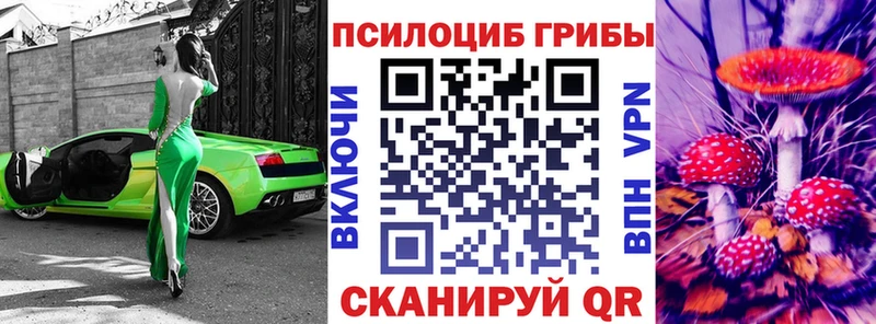 где можно купить наркотик  Морозовск  Псилоцибиновые грибы прущие грибы 
